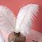 Ostrich Feather Ornament Accessories, for DIY Photo Props, Backdrop Craft, White, 300~350mm