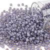 TOHO Round Seed Beads SEED-XTR11-PF2124-1