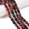 Natural Agate Beads Strands G-T138-180C-1