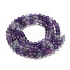 Natural Fluorite Beads Strands X-G-K315-B01-01-3