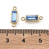 Birthstone 304 Stainless Steel Rhinestone Connector Charms STAS-L022-576G-09-3