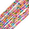 10 Strands Colorful Natural Freshwater Shell Dyed Beads Strands SHEL-M018-02-1