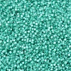 MIYUKI Delica Beads SEED-X0054-DB0627-3