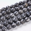 Natural Map Stone/Picasso Stone/Picasso Jasper Strands G-G099-8mm-27-2