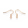 304 Stainless Steel Earring Hooks STAS-F227-28-G-2