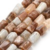 Natural Multi-Moonstone Beads Strands G-H329-A01-02-2