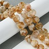 Natural Citrine Beads Strands G-Q010-A24-01-2