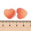 Imitation Candy Food Style Resin Cabochons RESI-R461-01L-3