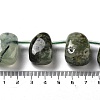 Natural Prehnite Beads Strands G-P528-E13-01-4