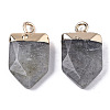 Natural Labradorite Pointed Pendants X-G-N326-34C-2