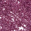 FGB 11/0 Grade A Baking Paint Glass Seed Beads SEED-S030-1147-2