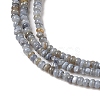 Natural Freshwater Shell Beads Strands SHEL-P017-01A-13-3