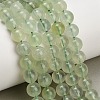 Natural Prehnite Beads Strands GG-CBA6F9F-8mm-1
