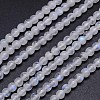 Natural Rainbow Moonstone Round Bead Strands G-M263-A-02-1