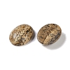 Natural Picture Jasper Cabochons G-B080-01A-11-2