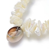 White Shell Chip Beads Charm Stretch Bracelets BJEW-JB03979-3