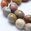Natural Chrysanthemum Stone Beads Strands X-G-E483-75A-3
