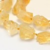 Rough Raw Natural Citrine Beads Strands G-K202-17B-4