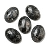 Natural Larvikite Cabochons G-C115-01A-40-1