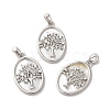 Brass Shell Pendants KK-M243-34P-3