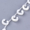 Natural Sea Shell Beads SHEL-T012-60C-2