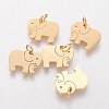 304 Stainless Steel Pendants STAS-Q201-T463G-1