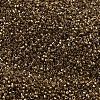 MIYUKI Delica Beads X-SEED-J020-DB0022L-3