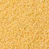 MIYUKI Round Rocailles Beads SEED-G008-RR0202-3