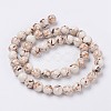 Sea Shell and Synthetic Turquoise Assembled Beads Strands G-G758-08-8mm-2