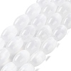 Macaron Color Natural Selenite Beads Strands X1-G-B102-A01-09-1