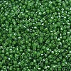 MIYUKI Delica Beads X-SEED-J020-DB0274-3