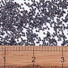 MIYUKI Delica Beads Small SEED-X0054-DBS0312-4