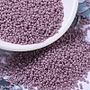 MIYUKI Round Rocailles Beads SEED-X0054-RR2024-1