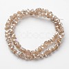 Electroplate Glass Bead Strands EGLA-J138-A-PL02-2