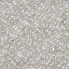 8/0 Glass Seed Beads SEED-A006-3mm-101-2