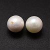 Shell Pearl Beads BSHE-L031-01-14mm-2
