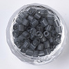 6/0 Transparent Glass Seed Beads SEED-S027-04B-09-2