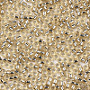 Glass Seed Beads SEED-S042-04A-05-3