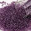 TOHO Round Seed Beads SEED-JPTR11-2219-1