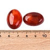 Natural Carnelian Cabochons X-G-D860-A22-4