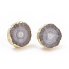 Natural Dyed Quartz Stud Earrings EJEW-P166-B01-1