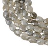 Natural Labradorite Beads Strands G-H349-A01-03-3