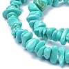Natural Magnesite Beads Strands TURQ-P001-02A-07-3
