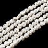 Electroplated Shell Pearl Beads Strands BSHE-B008-06A-1