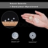 Natural Selenite Beads Strands G-AR0001-79-2