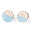Transparent Resin & Wood Stud Earrings EJEW-N017-003A-D01-3
