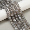 Natural Grey Moonstone Beads Strands G-G206-A01-10mm-1