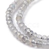 Natural Labradorite Beads Strands G-A026-C03-3