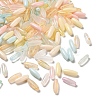 Painted Glass Beads GLAA-C037-01D-1