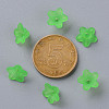 Transparent Acrylic Beads PL554-13-5